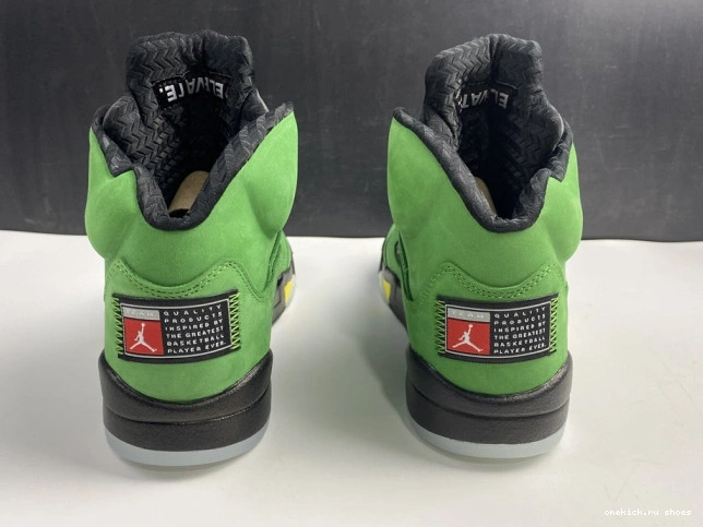 Rep Ducks CK6631-307 Oregon Jordan 5 SE Air 0731
